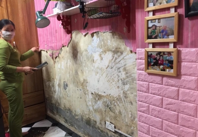 Thay giấy dán tường bằng xốp dán tường bạn nên biết