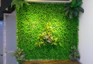 Sử dụng cỏ nhân tạo trong trang trí nhà