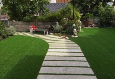 Nên lựa chọn loại cỏ trang trí sân vườn nào tốt nhất hiện nay?