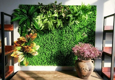 Thi công cỏ treo tường trong các quán cafe