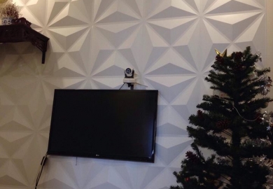 Thi công tấm ốp tường 3d quận 6