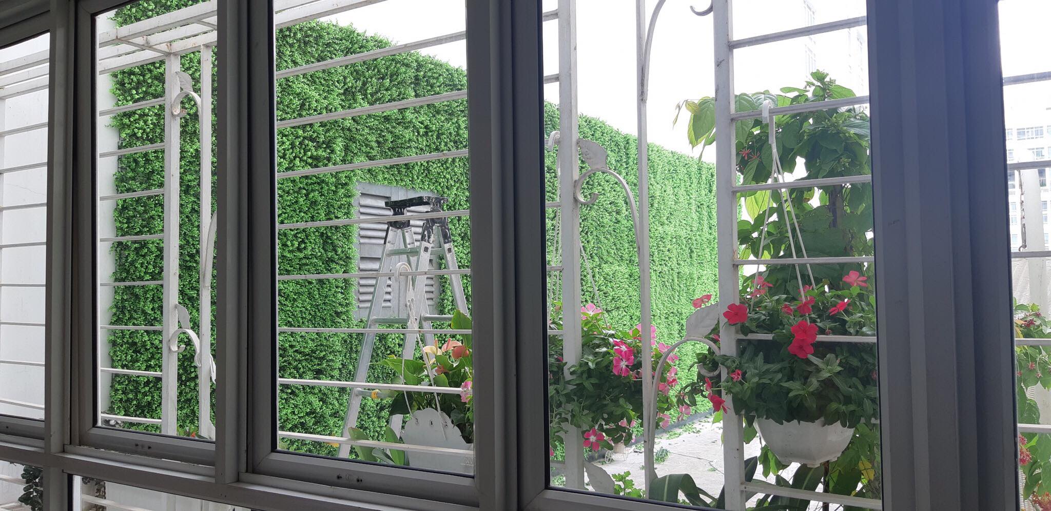 Thi công cỏ trang trí Chung cư