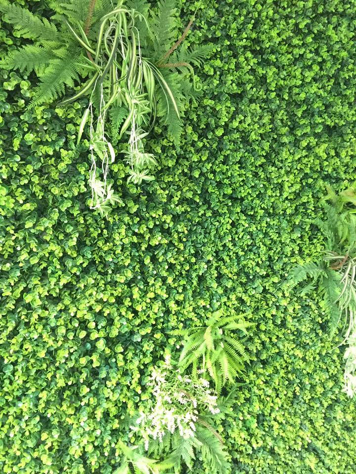 Thi Công Thảm Cỏ Trang Trí Salon tóc Quận 10