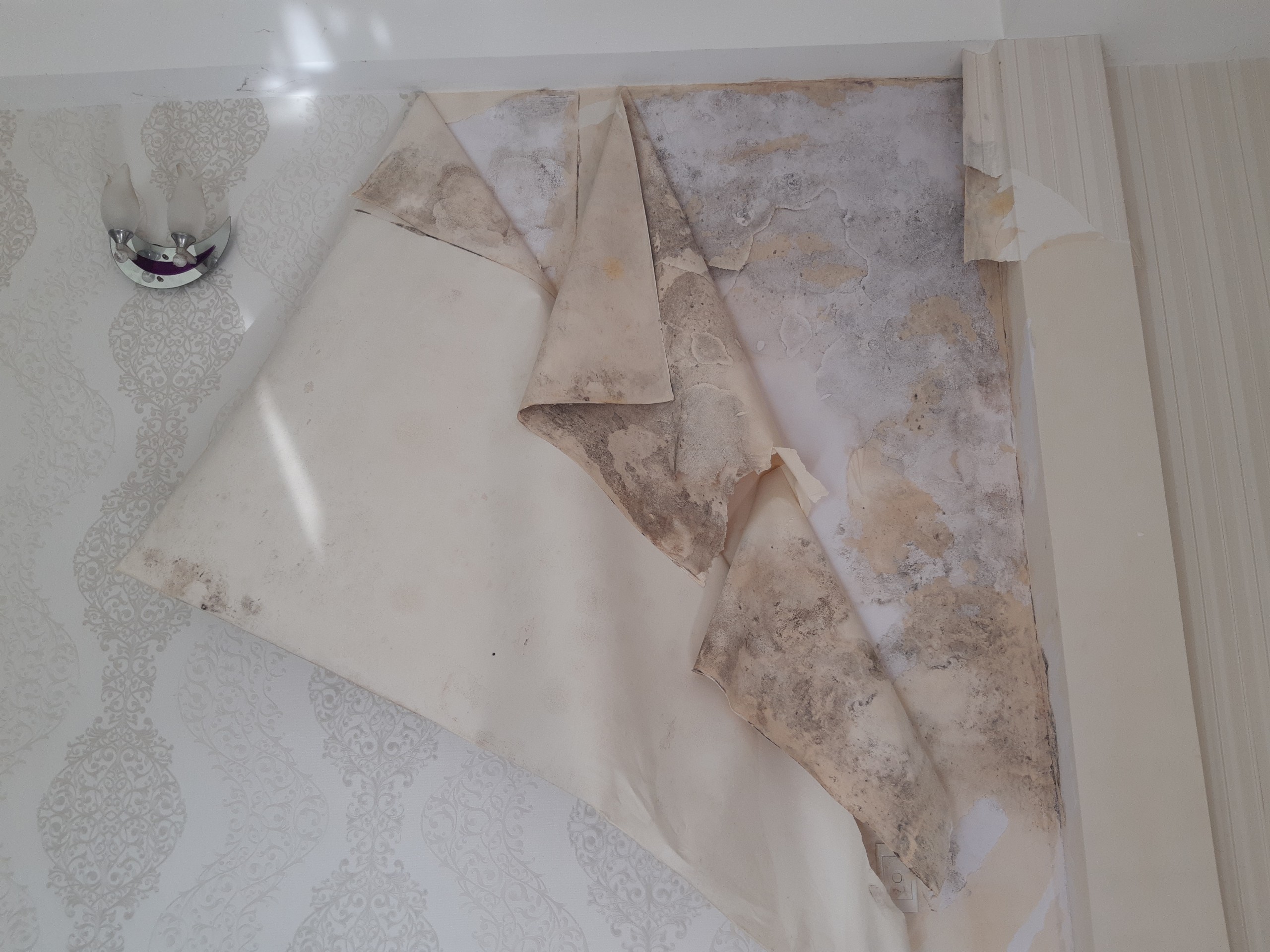 Xử lý tường nhà ẩm mốc