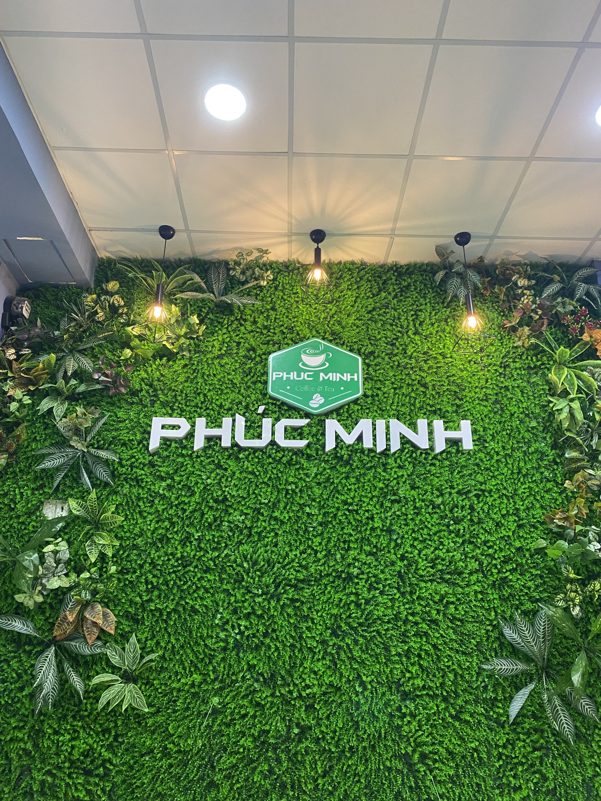 Bức tường cỏ - cỏ trang trí - thảm cỏ treo tường - cỏ nhựa treo tường tại quận 9